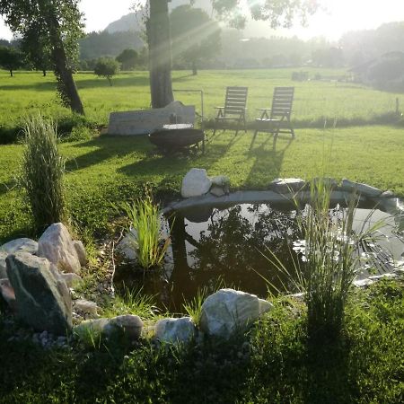 Haus Elisabeth Bed & Breakfast Aigen im Ennstal Exterior photo